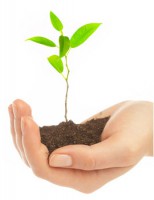 /album/galeria-de-fotos/sustentabilidade-jpg/